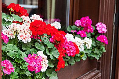 翻转过去的遗憾！ 《仙剑客栈2》宣传视频正式发布